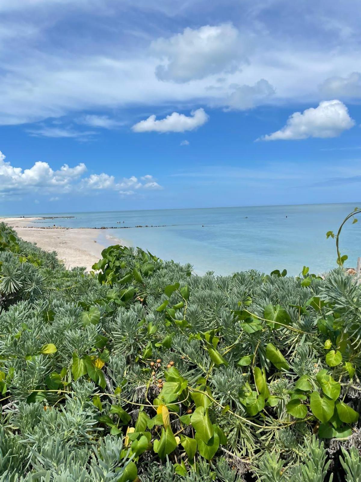 El Paraiso De Capitan Fernando Chelem Ngoại thất bức ảnh